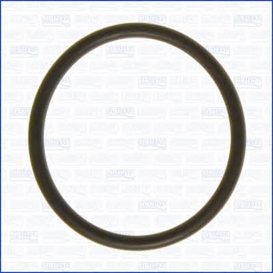Ajusa 16072700 Termostat gasket 16072700: Buy near me at 2407.PL in Poland at an Affordable price!