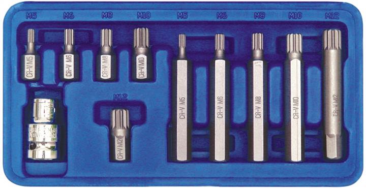 Vorel 66770 Set of special bits M5, M6, M8, M10, M12, SPLINE in plastic box-11pcs 66770: Buy near me at 2407.PL in Poland at an Affordable price!