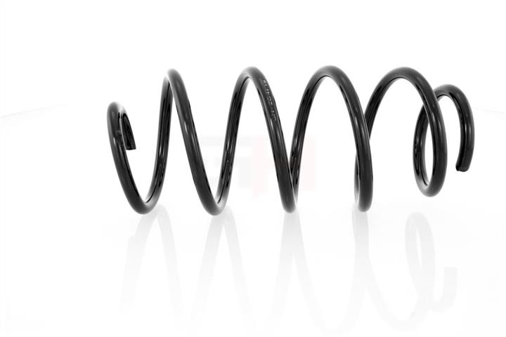 GH-Parts GH-204719 Coil Spring GH204719: Buy near me at 2407.PL in Poland at an Affordable price!