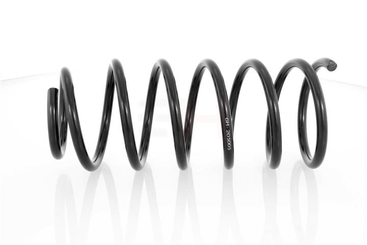 GH-Parts GH-205005 Coil Spring GH205005: Buy near me at 2407.PL in Poland at an Affordable price!