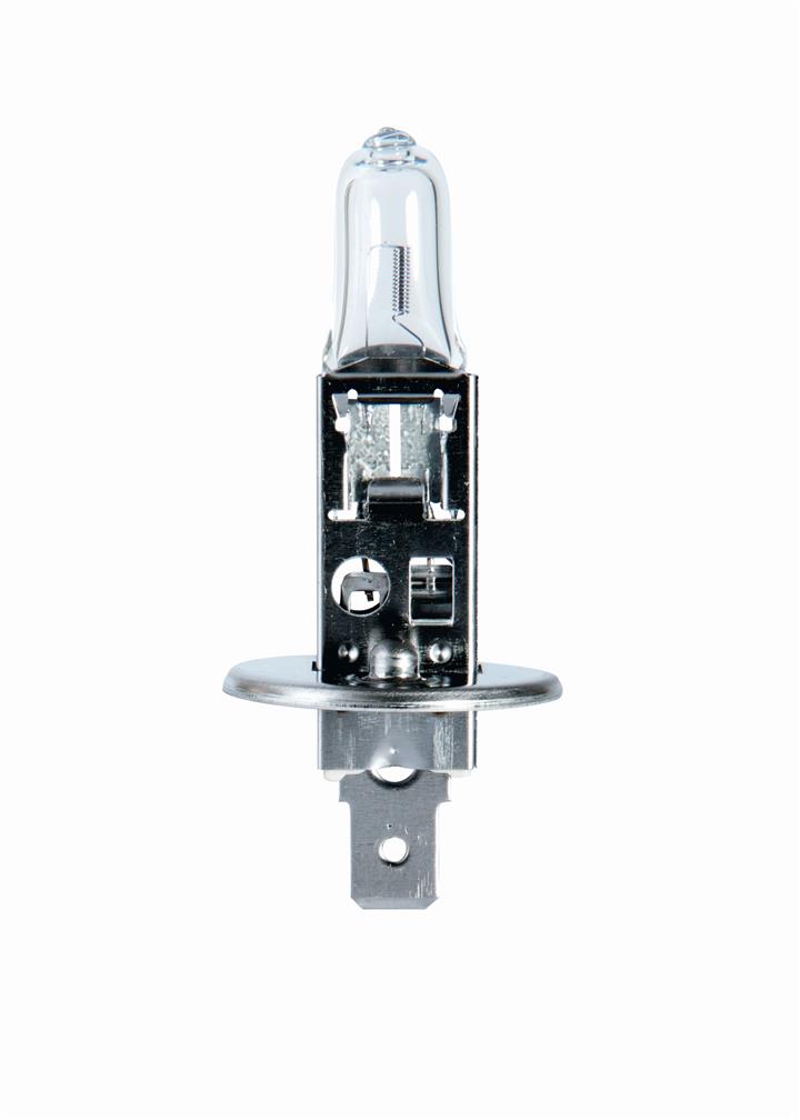 Champion CBH01S Halogen lamp 12V H1 55W CBH01S: Buy near me in Poland at 2407.PL - Good price!
