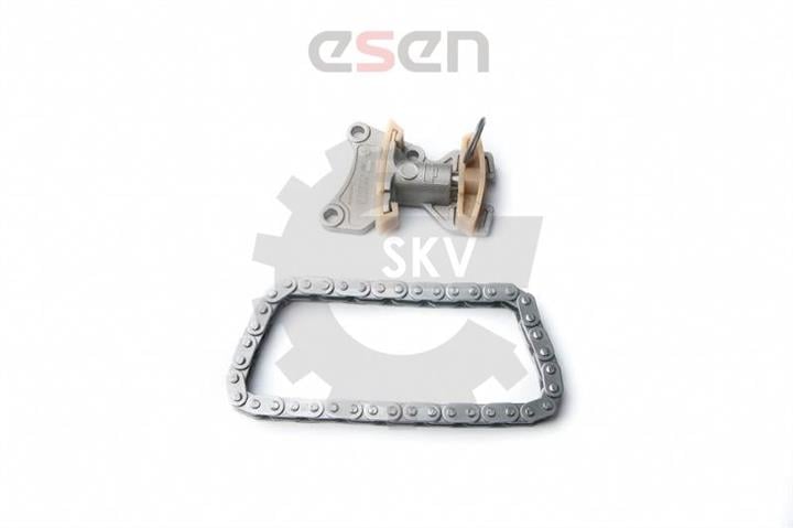 Esen SKV 21SKV020 Timing chain kit 21SKV020: Buy near me in Poland at 2407.PL - Good price!