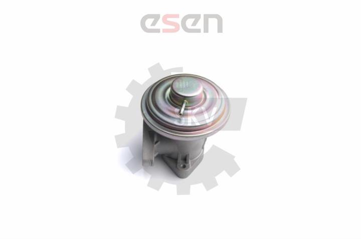 Esen SKV 14SKV098 EGR Valve 14SKV098: Buy near me in Poland at 2407.PL - Good price!