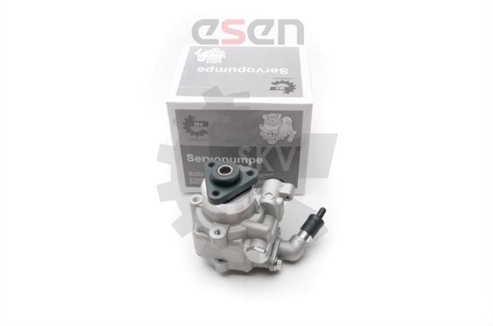Esen SKV 10SKV193 Hydraulic Pump, steering system 10SKV193: Buy near me in Poland at 2407.PL - Good price!