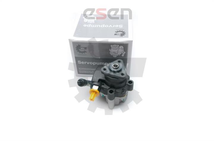 Esen SKV 10SKV191 Hydraulic Pump, steering system 10SKV191: Buy near me in Poland at 2407.PL - Good price!