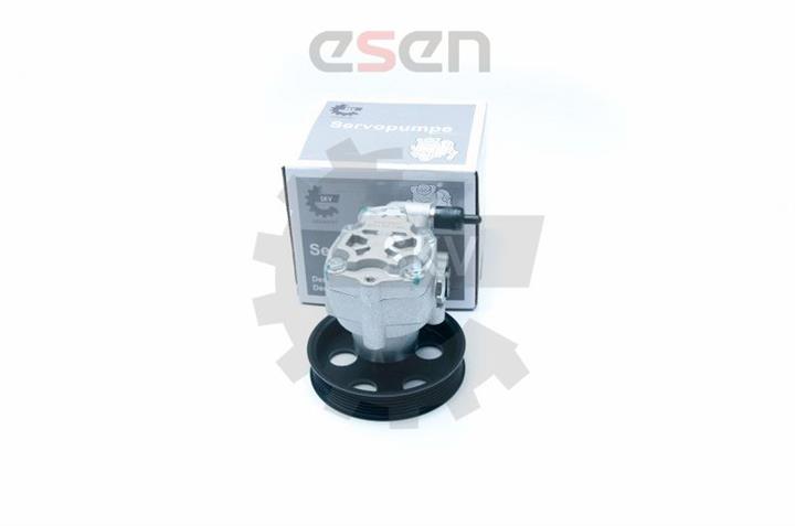 Esen SKV 10SKV183 Hydraulic Pump, steering system 10SKV183: Buy near me in Poland at 2407.PL - Good price!