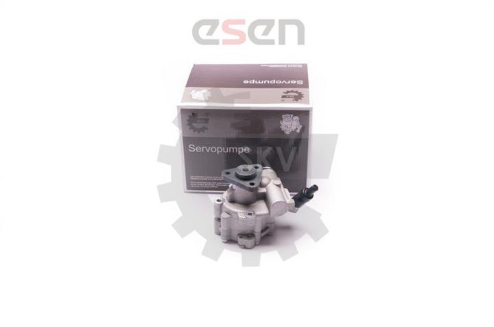 Esen SKV 10SKV030 Hydraulic Pump, steering system 10SKV030: Buy near me at 2407.PL in Poland at an Affordable price!