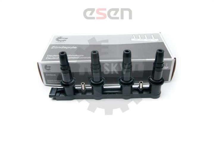 Esen SKV 03SKV254 Ignition coil 03SKV254: Buy near me in Poland at 2407.PL - Good price!