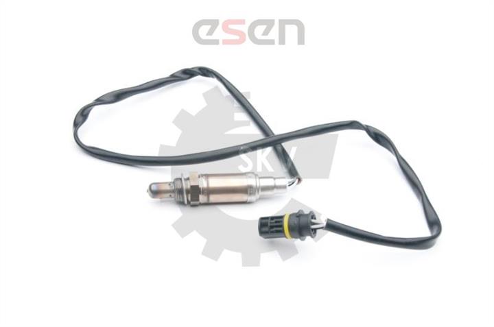 Buy Esen SKV 09SKV600 at a low price in Poland!