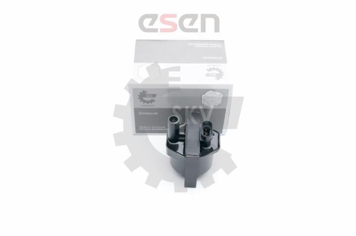 Esen SKV 03SKV253 Ignition coil 03SKV253: Buy near me in Poland at 2407.PL - Good price!