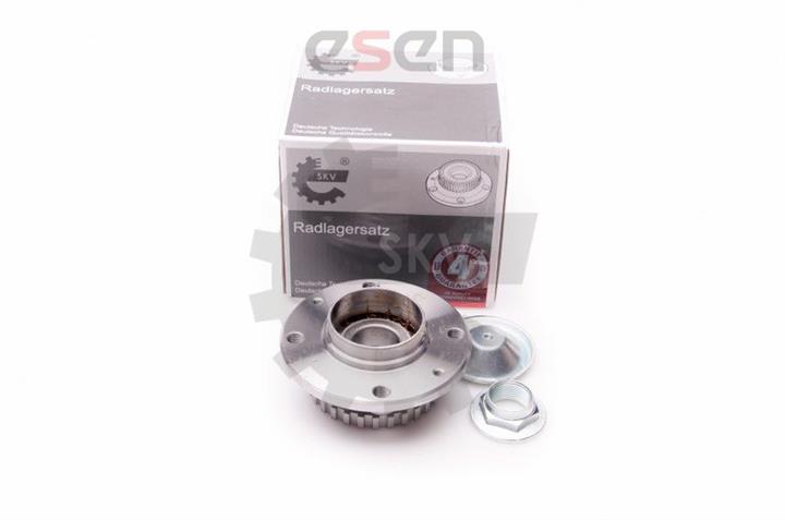 Esen SKV 29SKV025 Wheel hub bearing 29SKV025: Buy near me in Poland at 2407.PL - Good price!