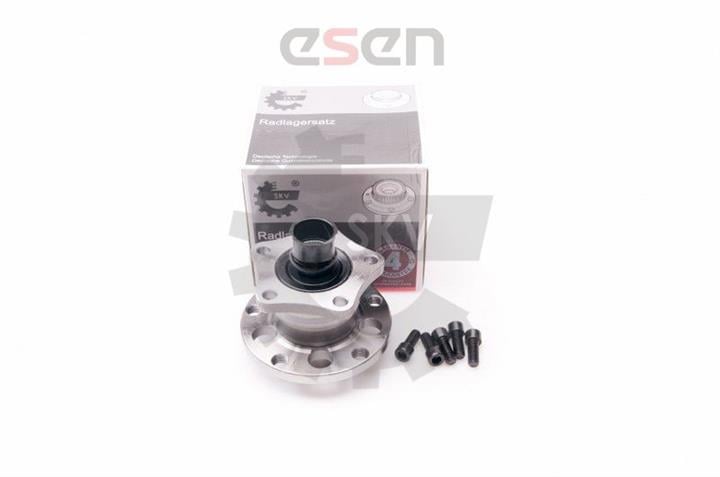 Esen SKV 29SKV009 Wheel hub bearing 29SKV009: Buy near me at 2407.PL in Poland at an Affordable price!