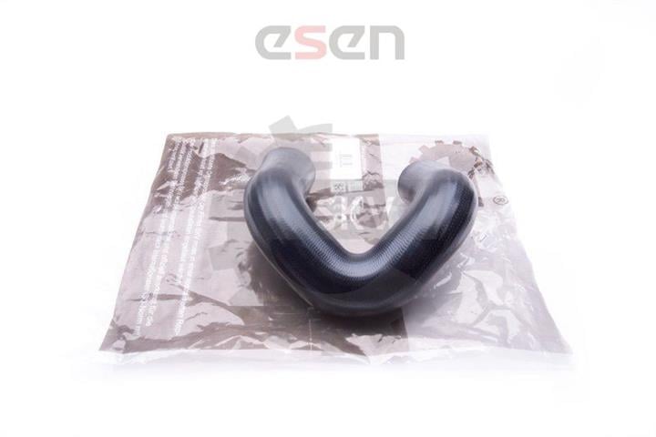 Esen SKV 24SKV169 Intake hose 24SKV169: Buy near me in Poland at 2407.PL - Good price!