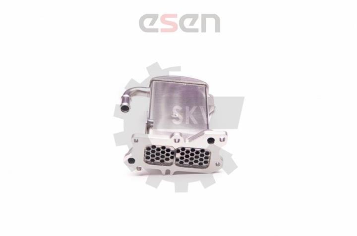 Esen SKV 14SKV112 Радиатор охлаждения отработанных газов 14SKV112: Отличная цена - Купить в Польше на 2407.PL!