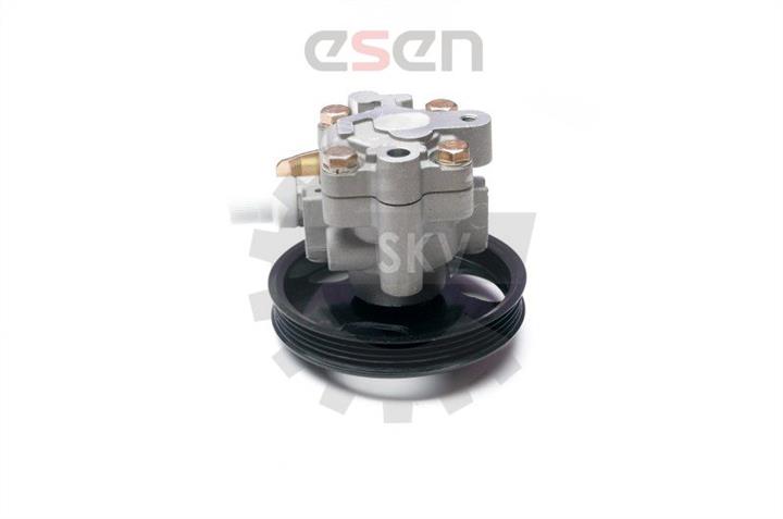 Esen SKV 10SKV228 Hydraulic Pump, steering system 10SKV228: Buy near me in Poland at 2407.PL - Good price!