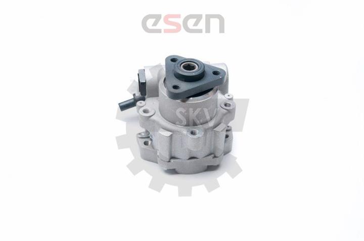 Esen SKV 10SKV221 Hydraulic Pump, steering system 10SKV221: Buy near me in Poland at 2407.PL - Good price!