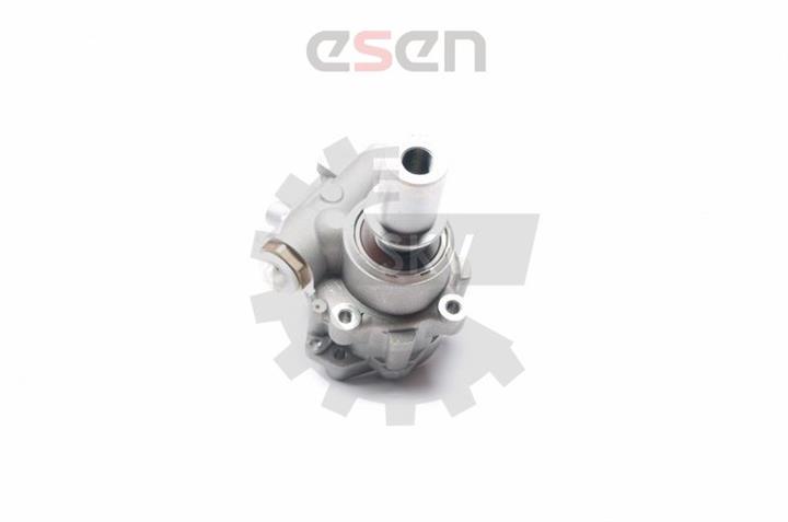 Esen SKV 10SKV217 Hydraulic Pump, steering system 10SKV217: Buy near me in Poland at 2407.PL - Good price!