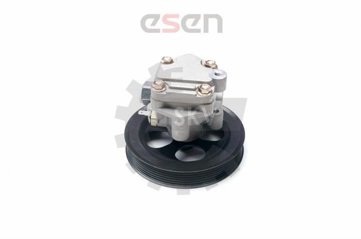 Esen SKV 10SKV216 Hydraulic Pump, steering system 10SKV216: Buy near me in Poland at 2407.PL - Good price!