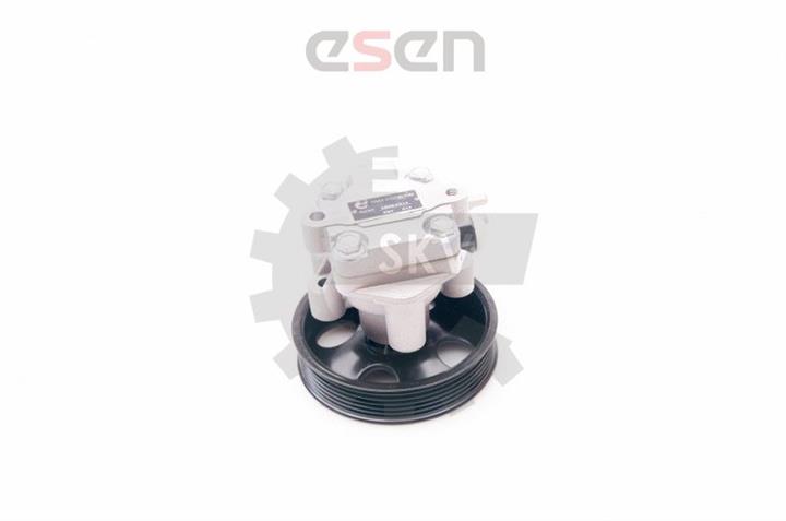 Buy Esen SKV 10SKV214 at a low price in Poland!