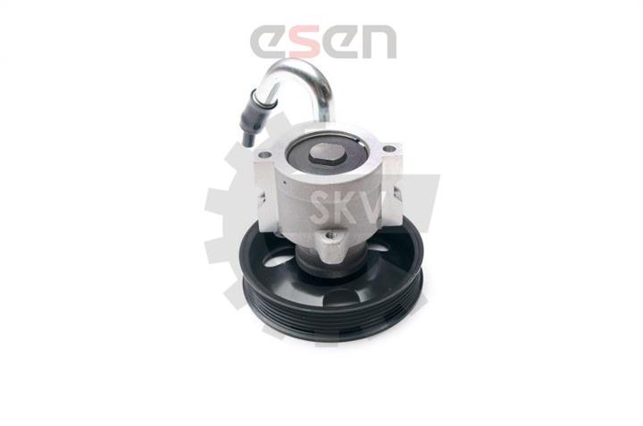 Esen SKV 10SKV206 Hydraulic Pump, steering system 10SKV206: Buy near me in Poland at 2407.PL - Good price!