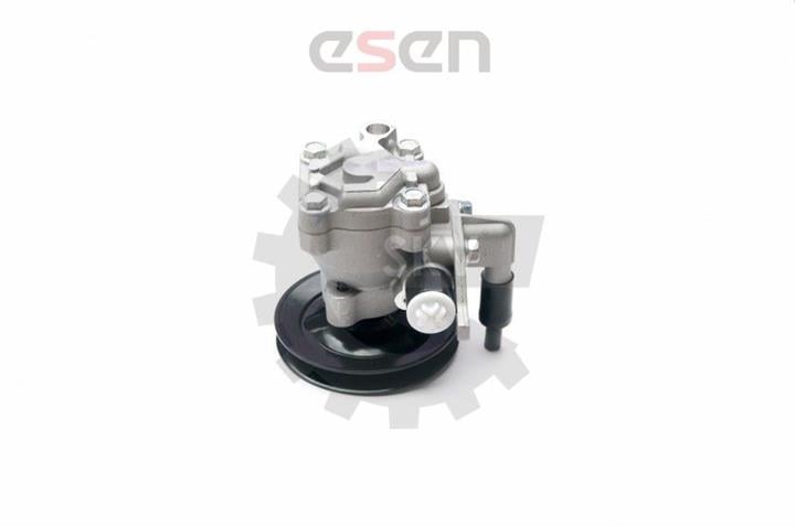 Esen SKV 10SKV204 Hydraulic Pump, steering system 10SKV204: Buy near me at 2407.PL in Poland at an Affordable price!