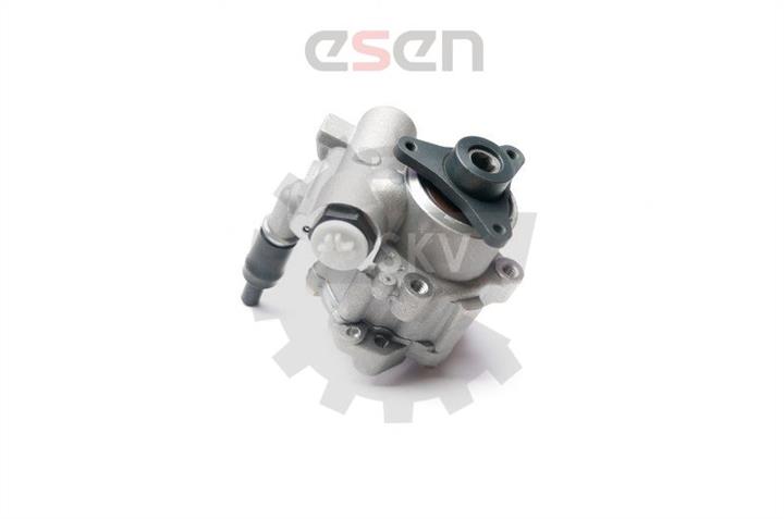 Esen SKV 10SKV199 Hydraulic Pump, steering system 10SKV199: Buy near me in Poland at 2407.PL - Good price!