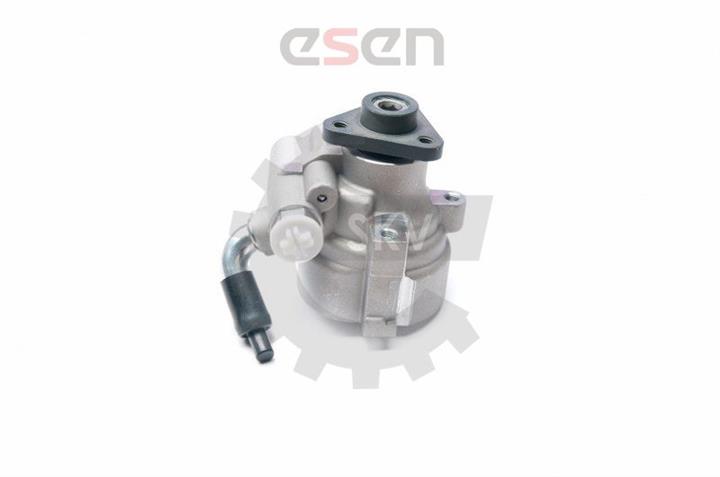 Esen SKV 10SKV198 Hydraulic Pump, steering system 10SKV198: Buy near me in Poland at 2407.PL - Good price!