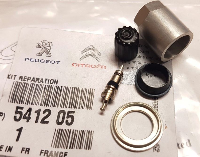 Kup Citroen&#x2F;Peugeot 541205 – super cena na 2407.PL!