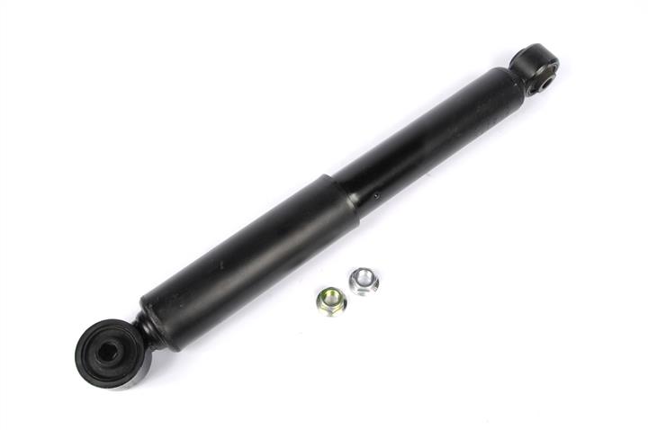 AC Delco 19317054 Shock absorber assy 19317054: Buy near me in Poland at 2407.PL - Good price!