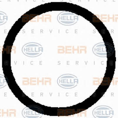 Behr-Hella 8FK 351 098-521 Compressor, air conditioning 8FK351098521: Buy near me in Poland at 2407.PL - Good price!