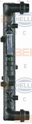 Радіатор охолодження двигуна Behr-Hella 8MK 376 716-234