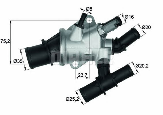 Mahle/Behr TI 155 88 Thermostat, coolant TI15588: Buy near me in Poland at 2407.PL - Good price!