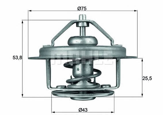 Mahle/Behr TX 16 79 Thermostat, coolant TX1679: Buy near me in Poland at 2407.PL - Good price!