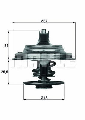 Mahle/Behr TX 23 79D Thermostat, coolant TX2379D: Buy near me in Poland at 2407.PL - Good price!
