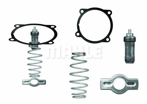 Mahle/Behr TX 51 79D Thermostat, coolant TX5179D: Buy near me in Poland at 2407.PL - Good price!