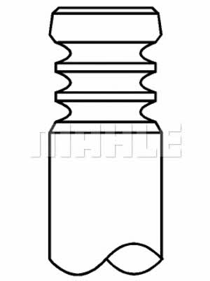 Mahle/Perfect circle 081 VE 31922 000 Intake valve 081VE31922000: Buy near me in Poland at 2407.PL - Good price!