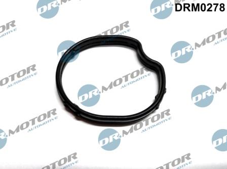 Dr.Motor DRM0278 Termostat gasket DRM0278: Buy near me in Poland at 2407.PL - Good price!