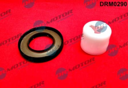 Dr.Motor DRM0290 Camshaft oil seal DRM0290: Buy near me in Poland at 2407.PL - Good price!