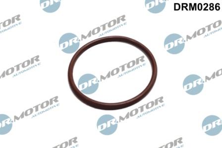 Dr.Motor DRM0286 Gasket, fuel pump DRM0286: Buy near me in Poland at 2407.PL - Good price!