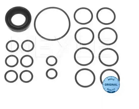 Meyle 100 198 0002 Power steering pump gaskets, kit 1001980002: Buy near me in Poland at 2407.PL - Good price!
