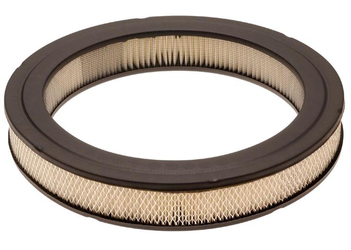 AC Delco A748C Air filter A748C: Buy near me in Poland at 2407.PL - Good price!