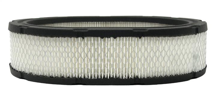 AC Delco A1113C Air filter A1113C: Buy near me in Poland at 2407.PL - Good price!