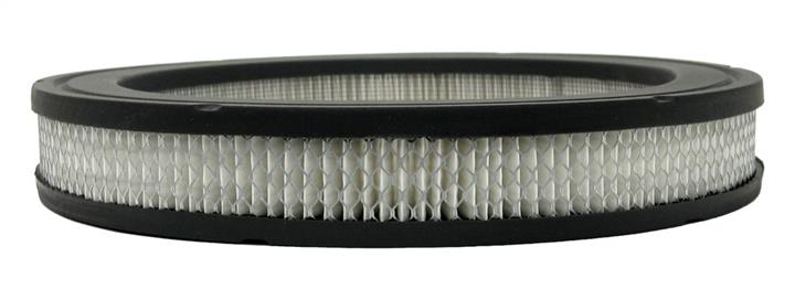 AC Delco A855C Air filter A855C: Buy near me in Poland at 2407.PL - Good price!