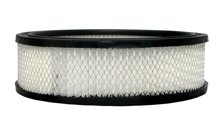 AC Delco A773C Air filter A773C: Buy near me in Poland at 2407.PL - Good price!