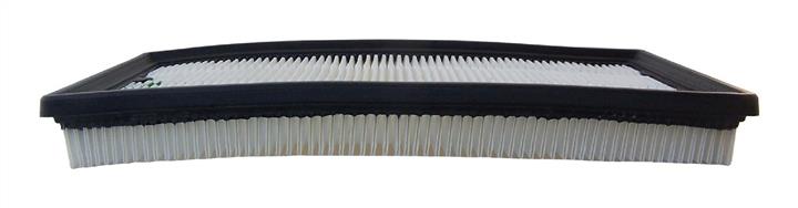AC Delco A1131C Air filter A1131C: Buy near me in Poland at 2407.PL - Good price!