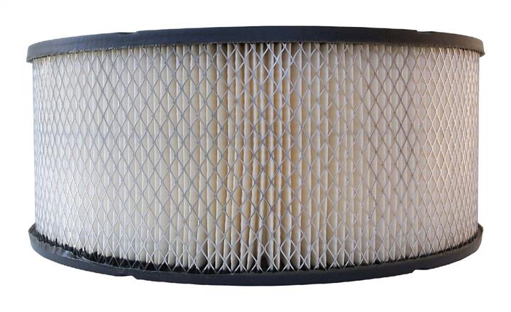AC Delco A753C Air filter A753C: Buy near me in Poland at 2407.PL - Good price!