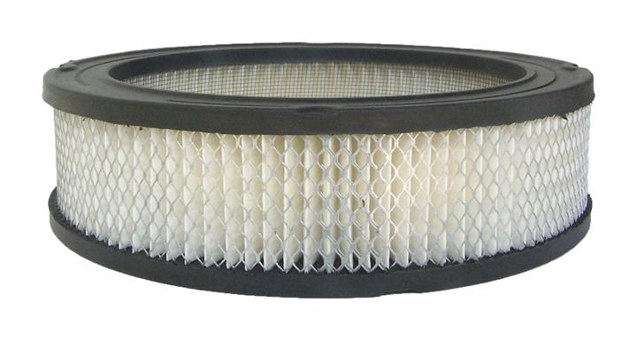 AC Delco A3028C Air filter A3028C: Buy near me in Poland at 2407.PL - Good price!