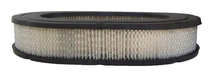 AC Delco A3021C Air filter A3021C: Buy near me in Poland at 2407.PL - Good price!