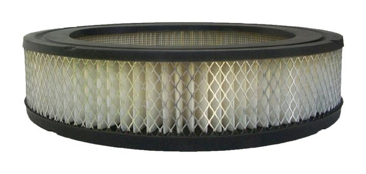 AC Delco A3019C Air filter A3019C: Buy near me in Poland at 2407.PL - Good price!