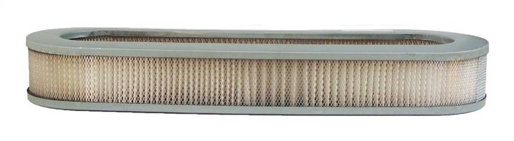 AC Delco A2983C Air filter A2983C: Buy near me in Poland at 2407.PL - Good price!